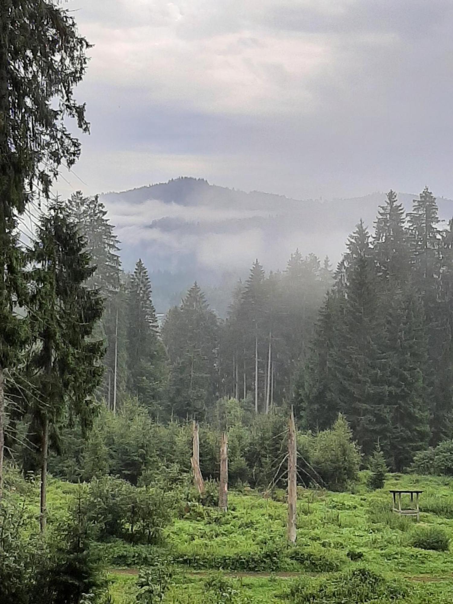 Fewo Fink Regen Bagian luar foto