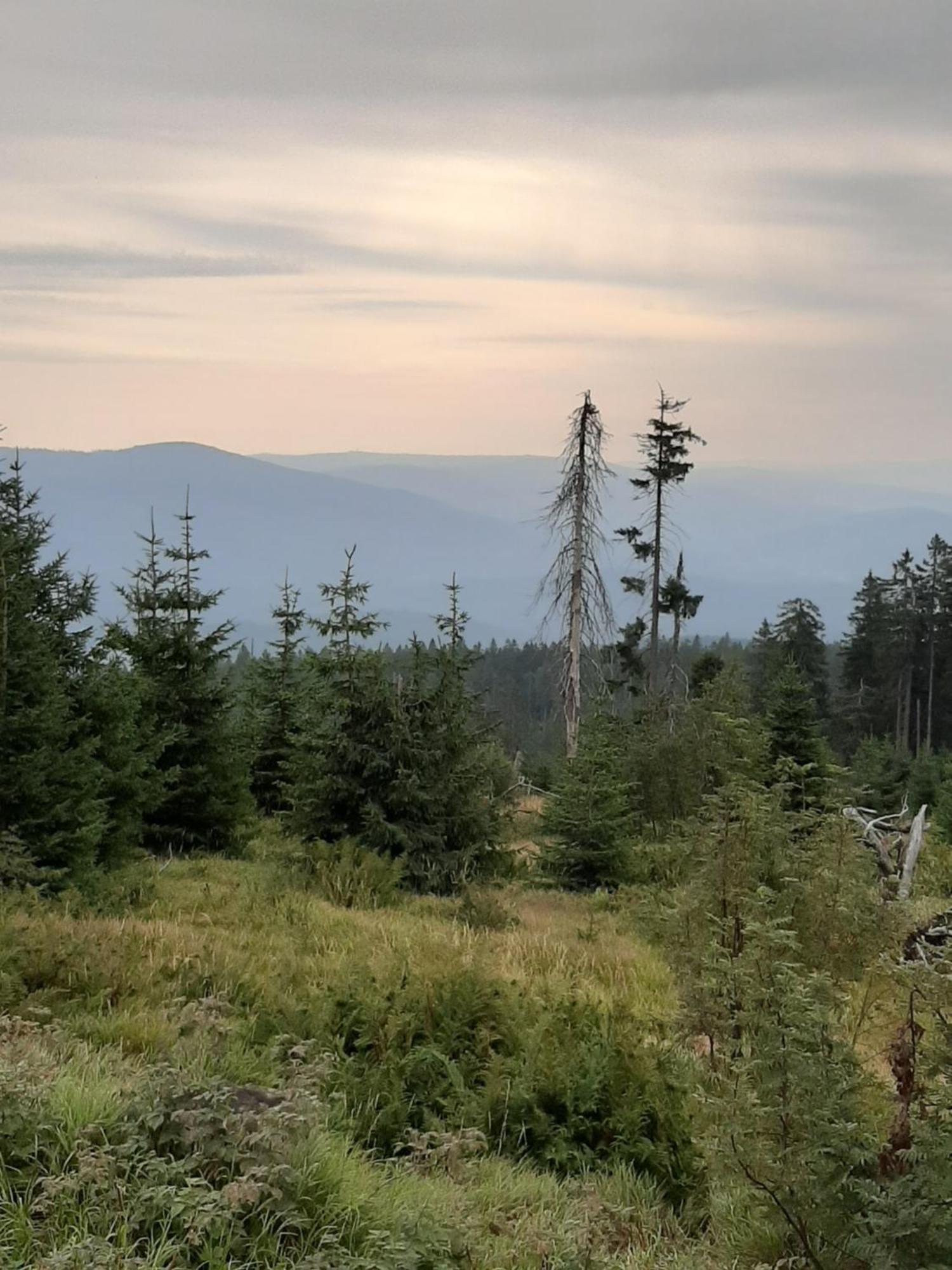 Fewo Fink Regen Bagian luar foto
